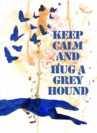 Hug a Greyhound by Jayne Herbert